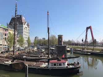 Rotterdam van vroeger tot nu: privé wandeling met gids inclusief het Depot